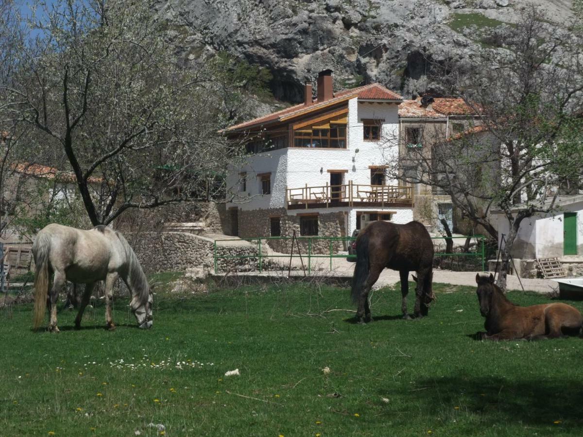 Casas Rurales El Nacimiento Понтонес Экстерьер фото